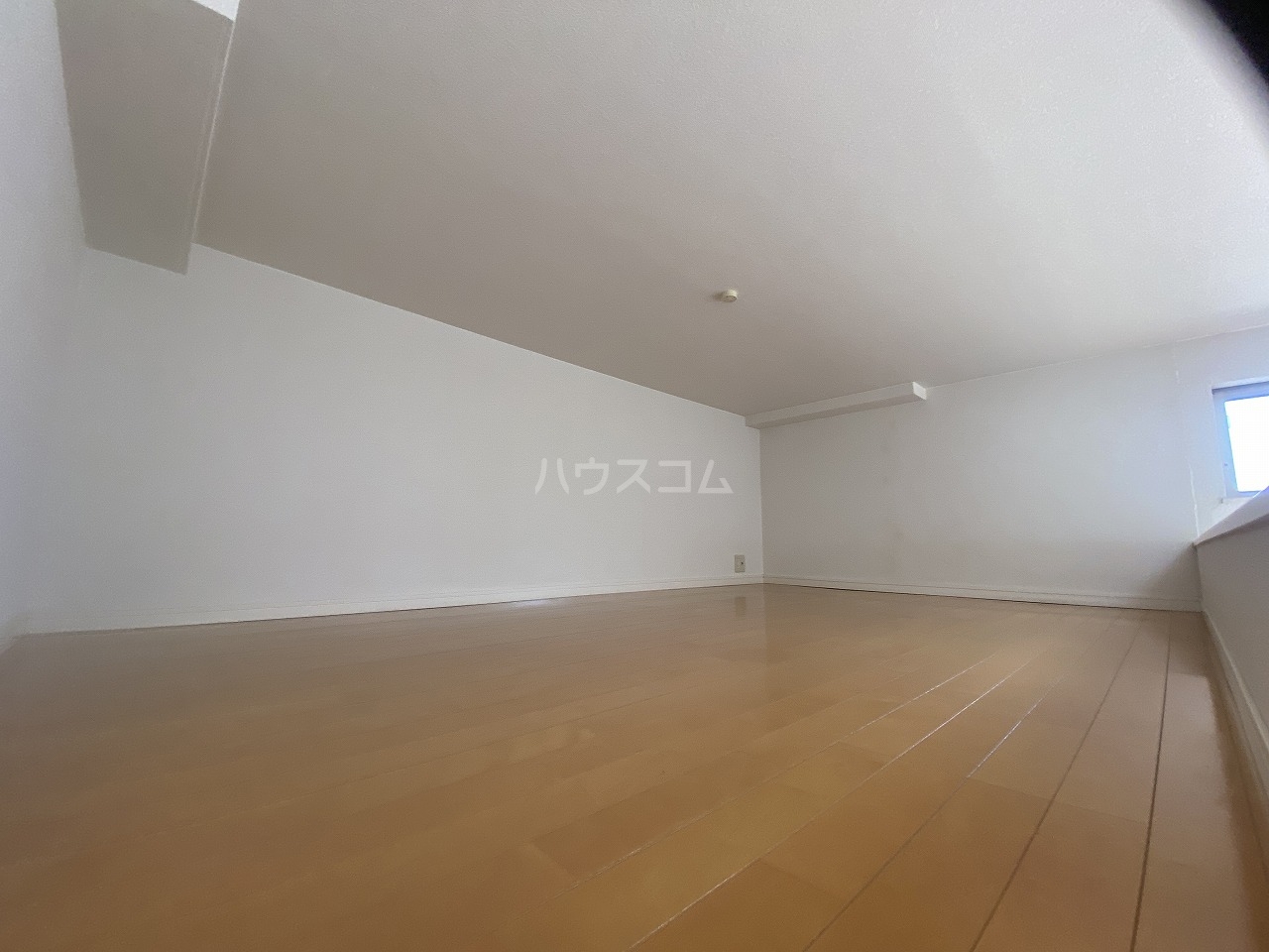 21/24 その他画像