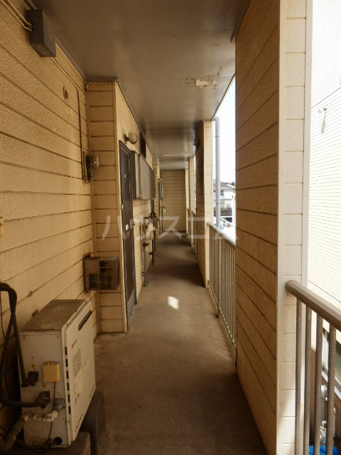 8/17 その他画像