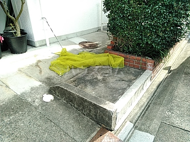 21/29 その他画像