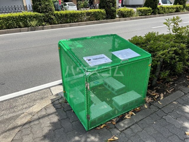 20/30 その他画像