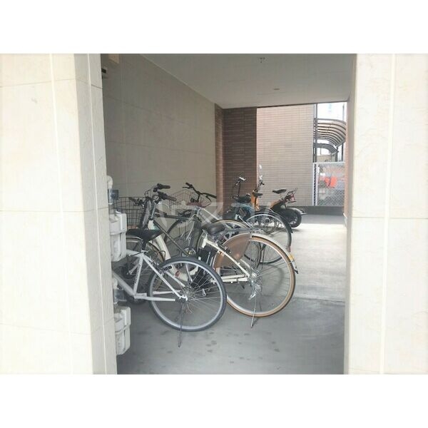 15/19 その他画像