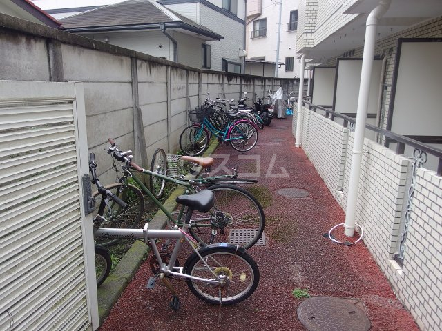 20/30 その他画像