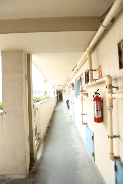 11/23 その他画像