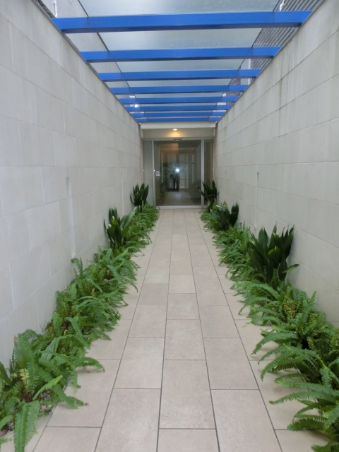 17/26 その他画像