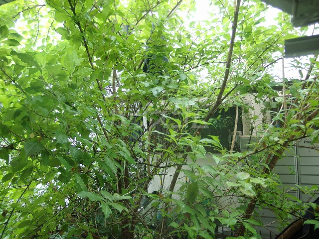 17/25 その他画像