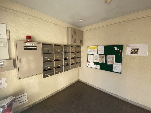 20/30 その他画像