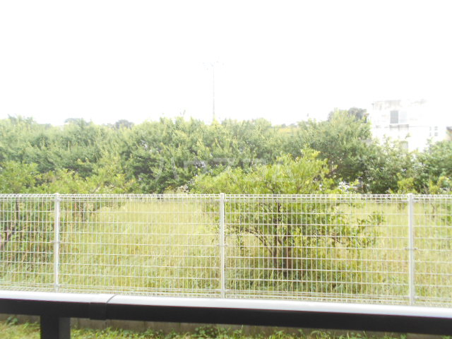 16/30 その他画像