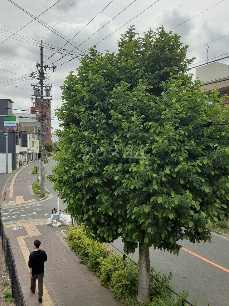 16/24 その他画像