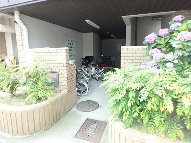 19/26 その他画像