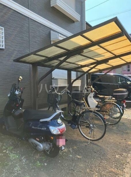 20/30 その他画像