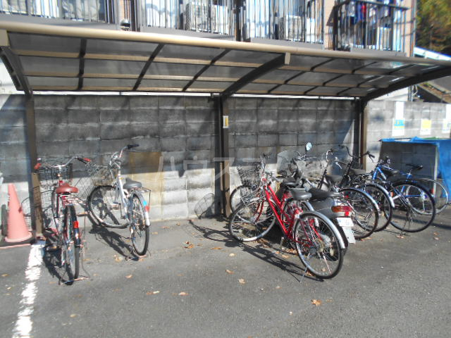 20/30 その他画像