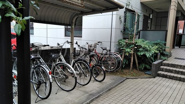 6/16 その他画像