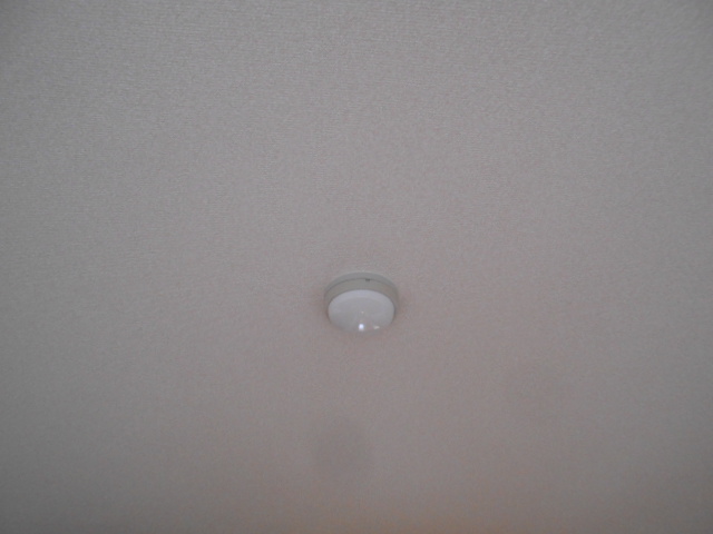 20/29 その他画像