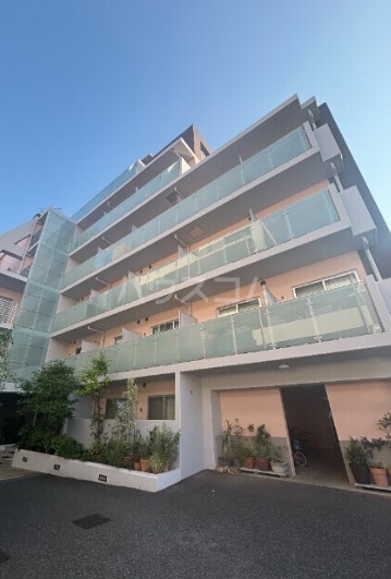 13/24 その他画像