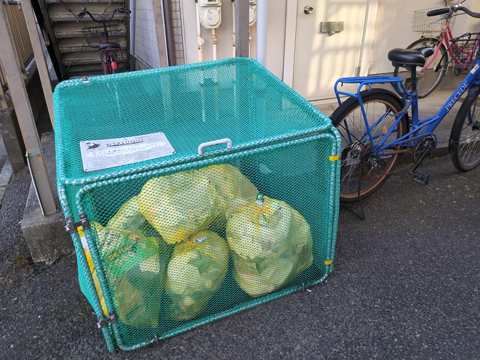 17/26 その他画像