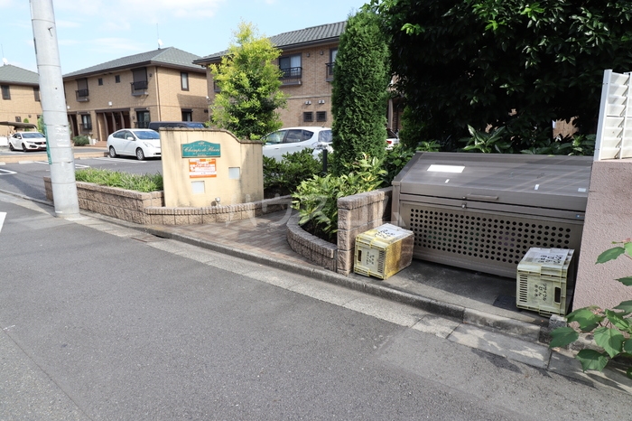 その他画像