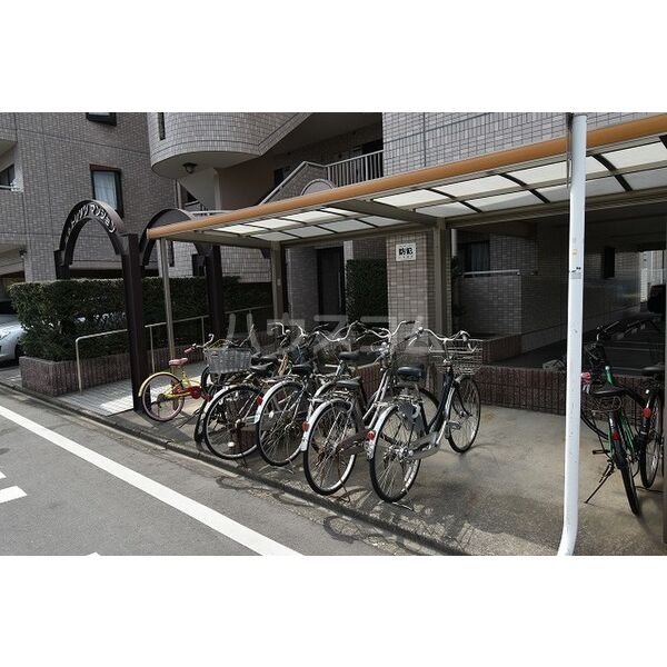 11/19 その他画像