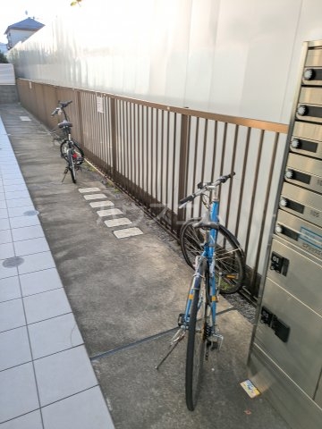 20/30 その他画像
