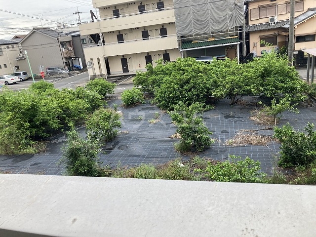 20/29 その他画像