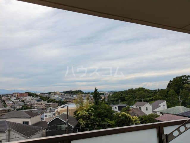 17/26 その他画像