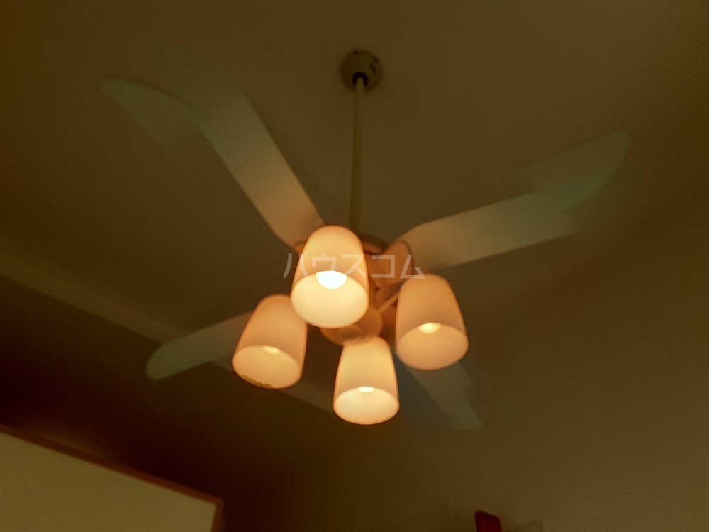 21/29 その他画像