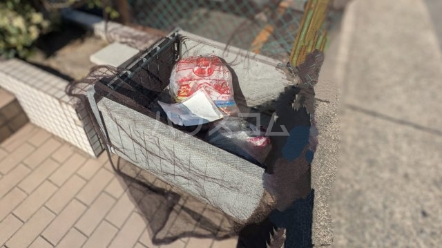 19/25 その他画像