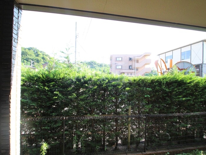 13/30 その他画像