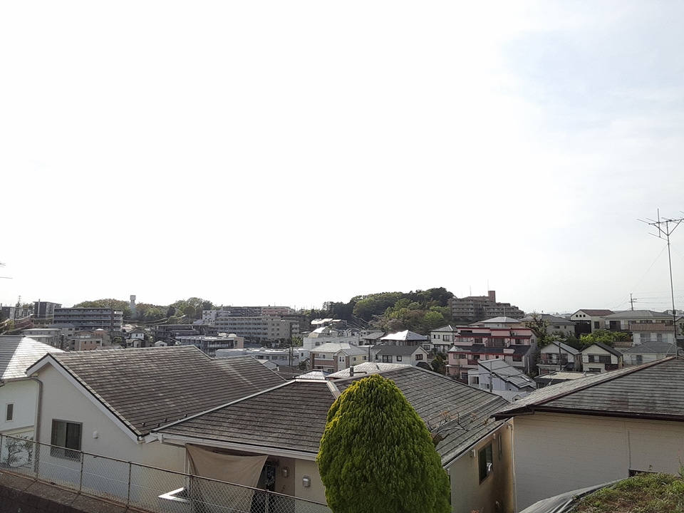 20/30 その他画像