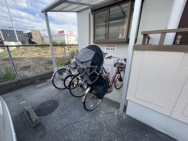 20/30 その他画像