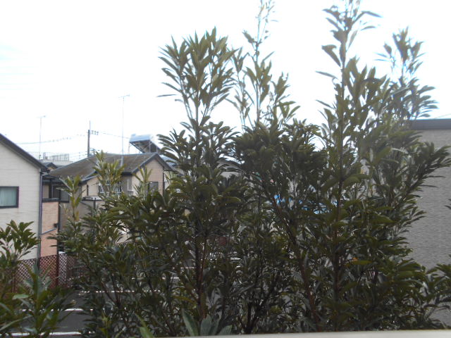 17/29 その他画像