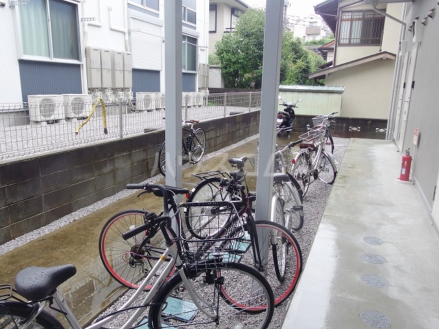 20/30 その他画像