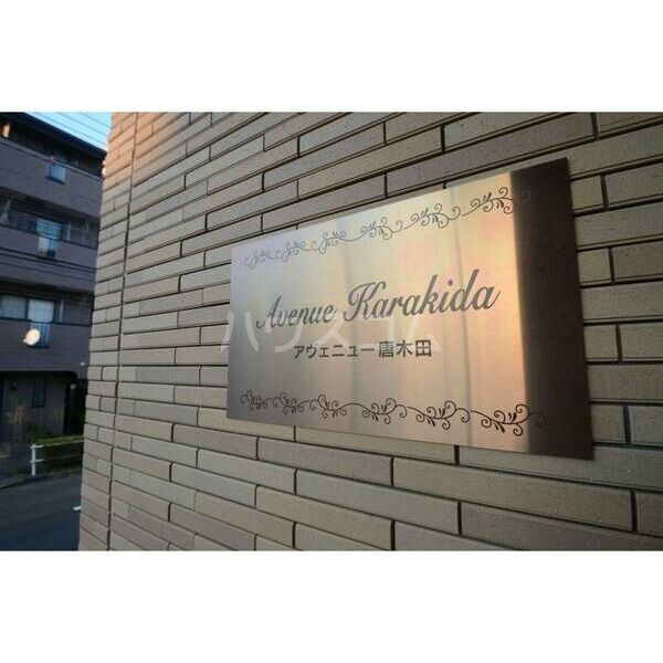 17/27 その他画像