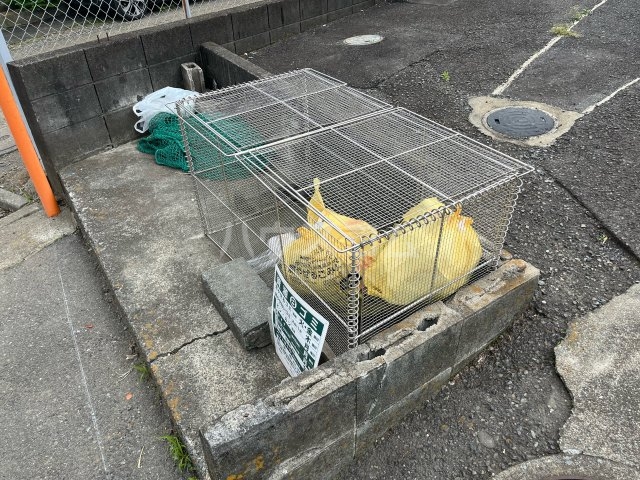 14/20 その他画像