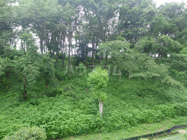 16/30 その他画像