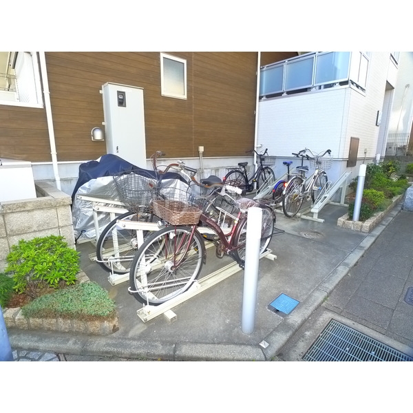 20/30 その他画像