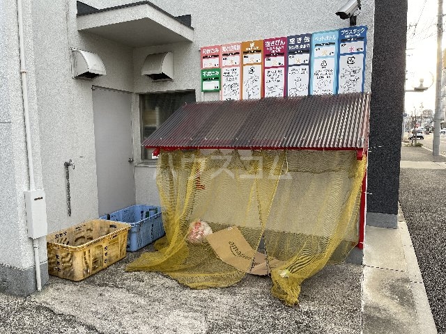 20/30 その他画像