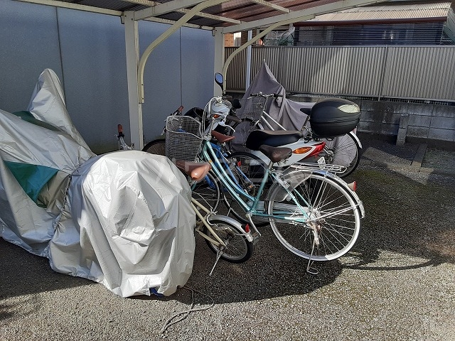 20/30 その他画像