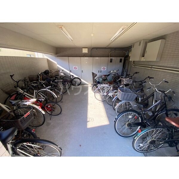 20/30 その他画像