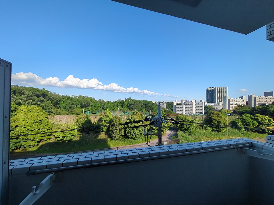 20/30 その他画像