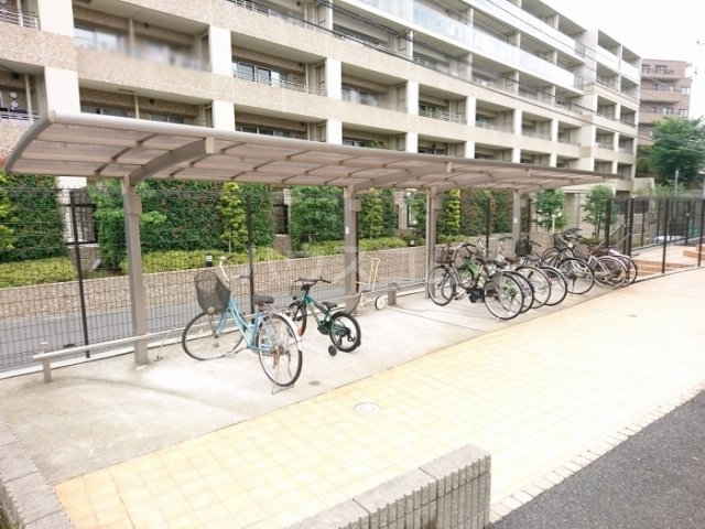 13/19 その他画像