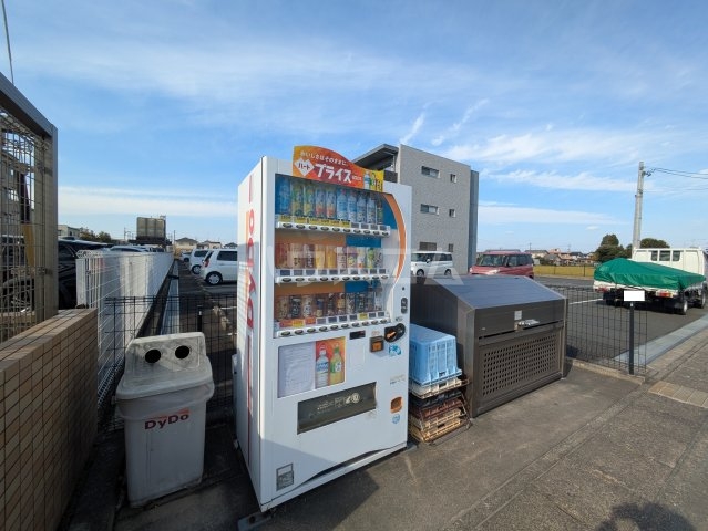 3/13 その他画像