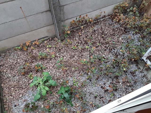 18/27 バルコニー