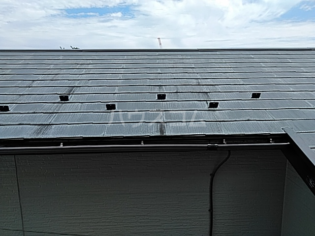 15/23 その他画像