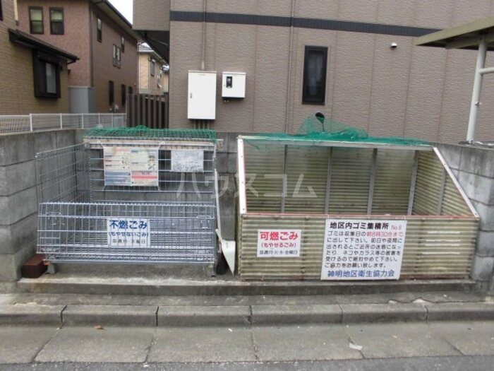 20/30 その他画像