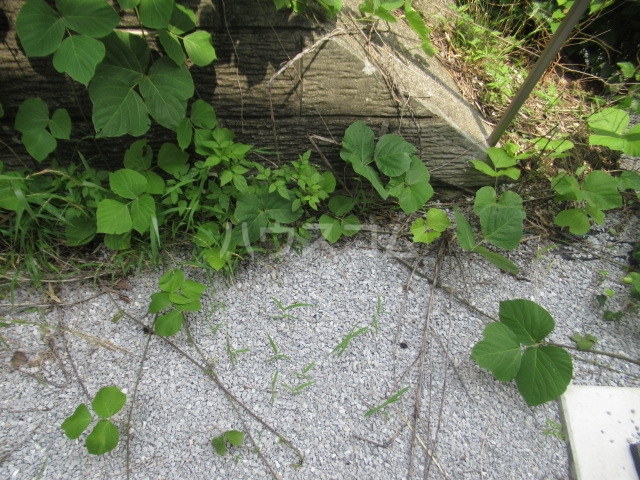 23/30 バルコニー