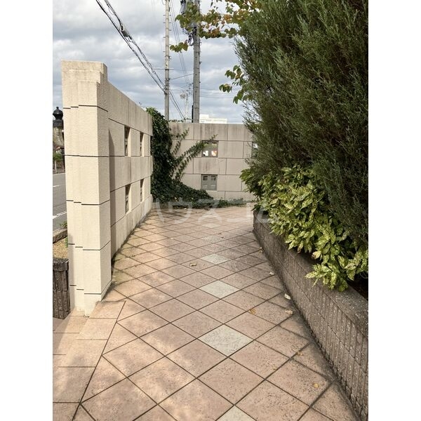 12/21 その他画像