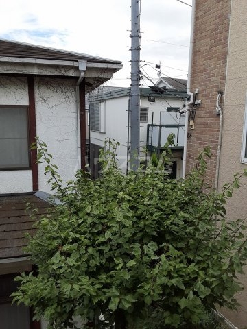 21/28 その他画像