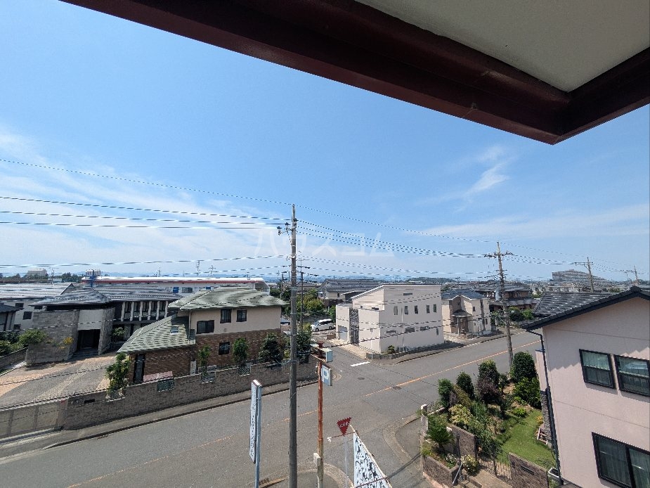 20/30 その他画像