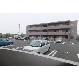 3/13 駐車場