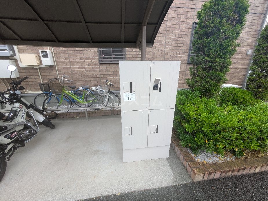 その他画像